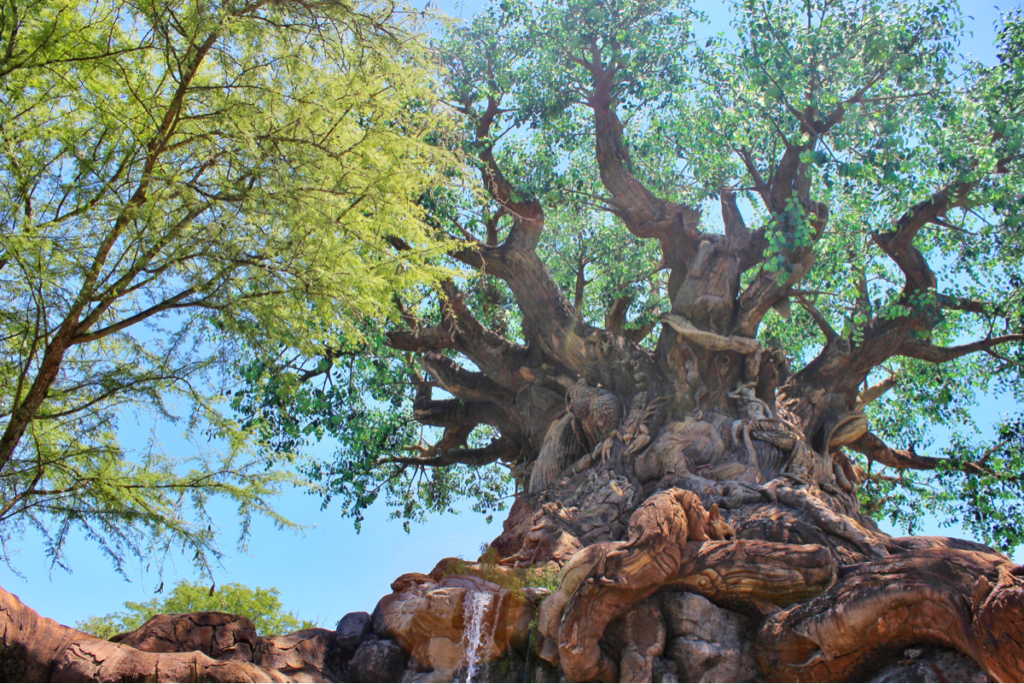 Capture Your Moment is Coming To Disney's Animal Kingdom